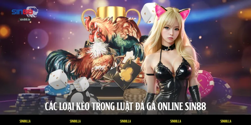 Các loại kèo trong luật đá gà online SIN88