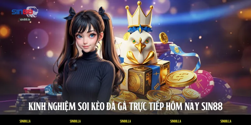 Kinh nghiệm soi kèo đá gà trực tiếp hôm nay SIN88