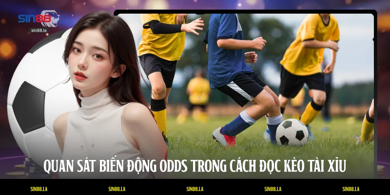 Quan sát biến động Odds trong cách đọc kèo Tài Xỉu